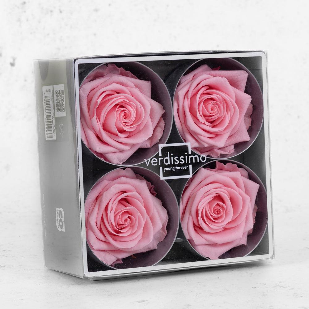 Preserved Roses | Rose Heads, Preserved, Premium, Pastel Pink, Box 4 Preserved Preserved Flowers