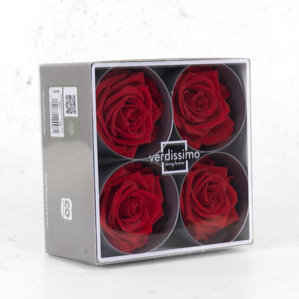 Preserved Roses | Rose Heads, Preserved, Premium, Red, Box 4 Preserved Preserved Flowers