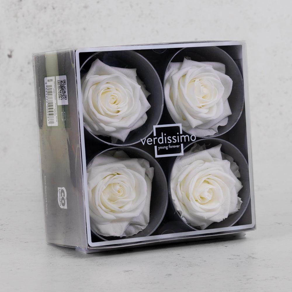 Preserved Roses | Rose Heads, Preserved, Premium, White, Box 4 Preserved Preserved Flowers