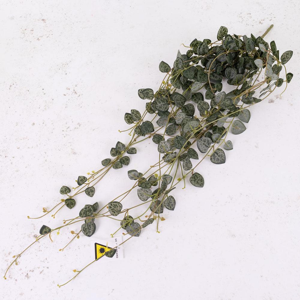 UV Resistant Artificial Plants | Ceropegia, (String of Hearts), Artificial, 70cm, UV Artificial Artificial Foliage