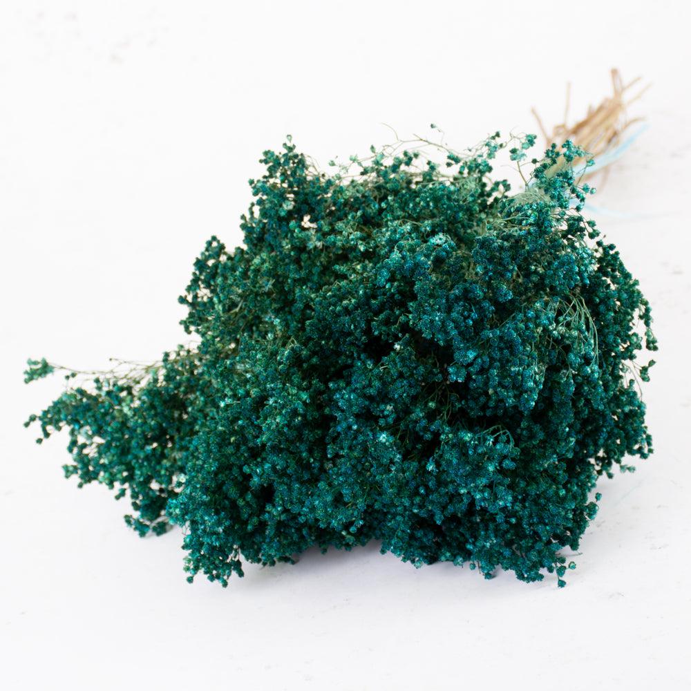 Dried Broom Bloom | Broom Bloom, Dried, Dyed Emerald Green, 100g Dried Dried Broom Bloom