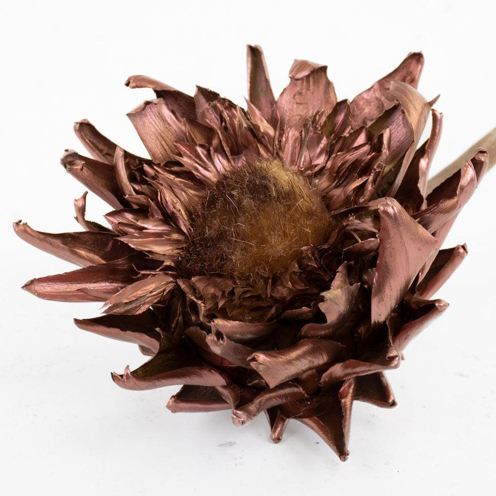 Dried Natural Products | Cynara, Dried, Bronze, 12-20cm, Per Stem Dried Dried Flowers