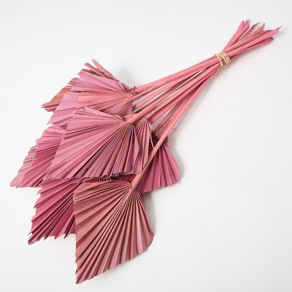 Dried Palm Spears | Palm Spear, Dried, Antique Pink 11-13cm, Bunch x 10 Dried Dried Palm Spears