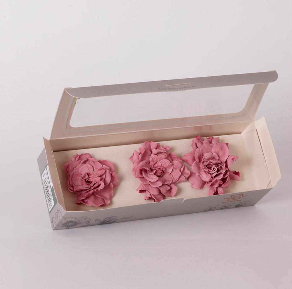 Preserved Flowers | Gardenia Heads Preserved, Cherry Blossom, Box x 3 Preserved Preserved Flowers