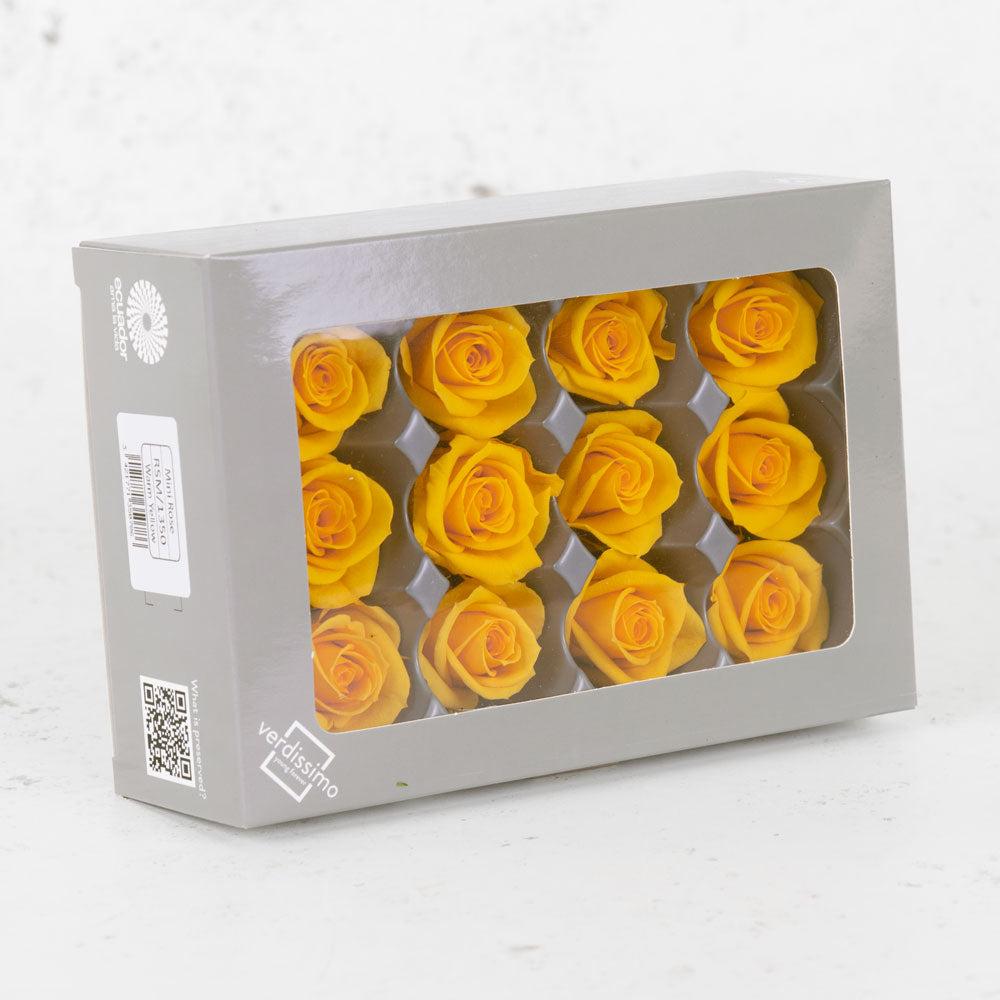 Preserved Roses | Rose Heads, Preserved, Mini, Warm Yellow, Box 12 Preserved Preserved Flowers