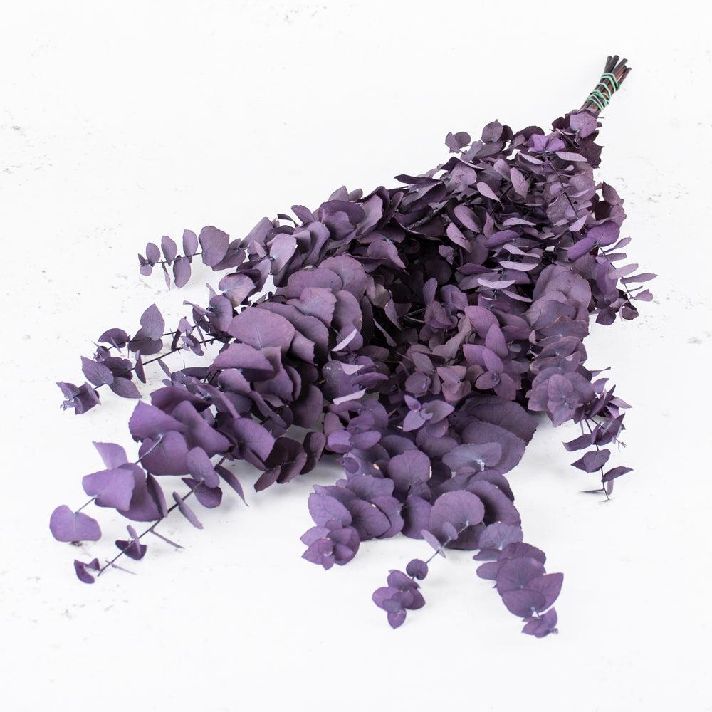 Preserved Fillers & Foliages | Eucalyptus Stuartiana, Preserved, Milka, 150g Preserved Preserved Eucalyptus