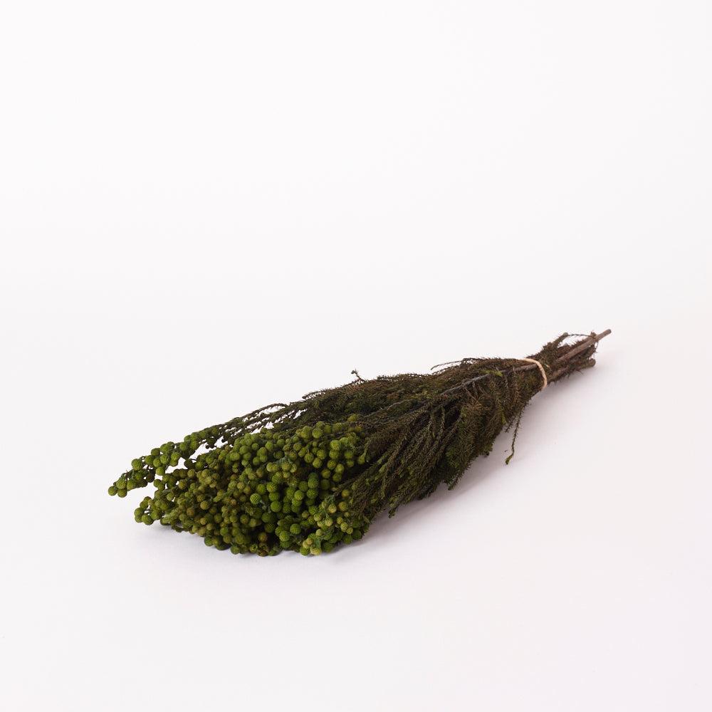 Preserved Fillers & Foliages | Lanuginosa, Preserved, Green, 125g Bunch Preserved Preserved Fillers & Foliages