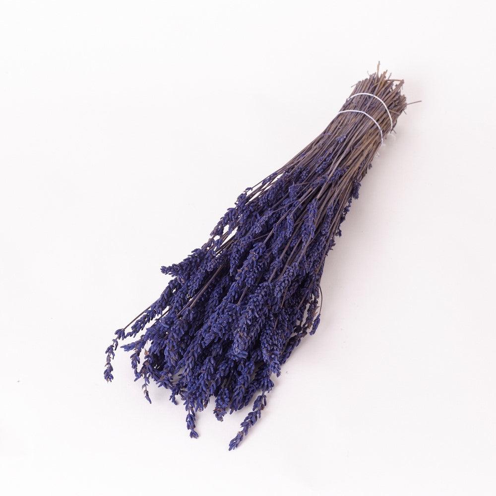 Preserved Fillers & Foliages | Lavender, Preserved, (Verdissimo), Natural Blue, 130g Preserved Preserved Fillers & Foliages