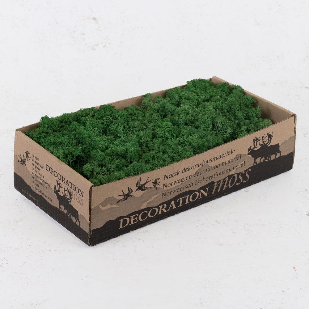 Preserved Moss | Icelandic Moss, Preserved, Grass Green, 425g Preserved Preserved Moss