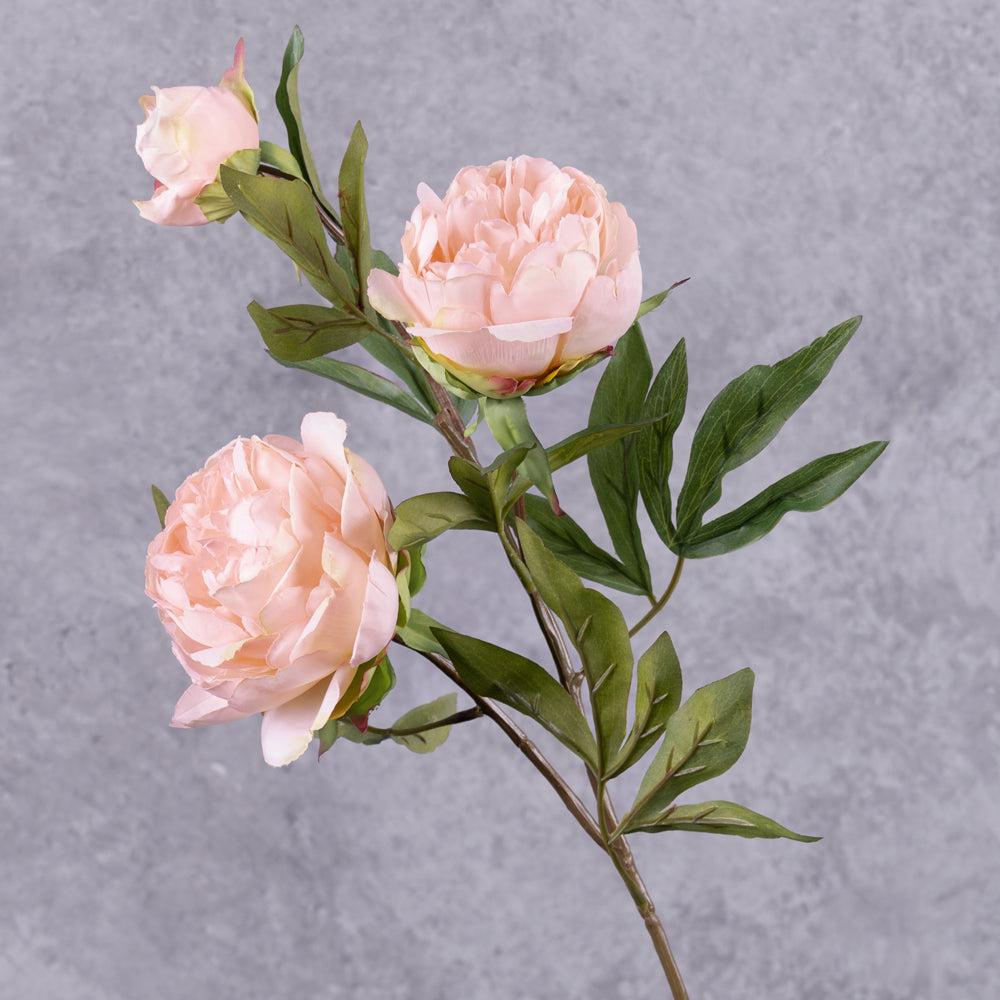 Artificial Flowers | Peony, Spring Dream, Artificial, Pink, 73cm Artificial Artificial Flowers