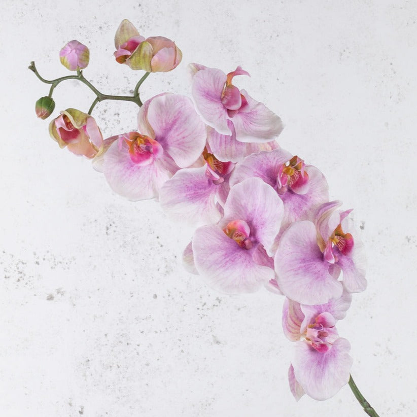 Artificial Flowers | Phalaenopsis, Artificial, White Rose, 102cm Artificial Artificial Flowers