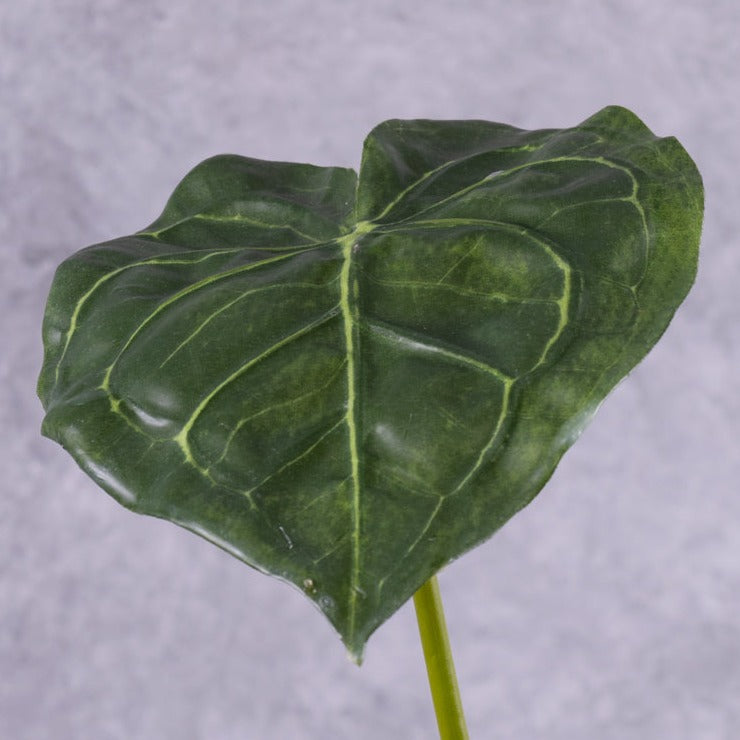 Artificial Foliage | Flamingo Flower Leaf (Anthurium), Artificial, 67cm Artificial Artificial Foliage