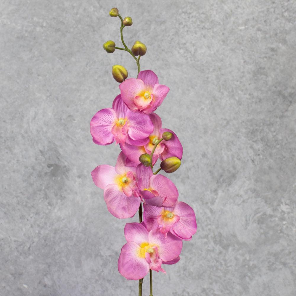 Artificial Indoor Plants | Phalaenopsis Plant, Artificial, Lilac, 75cm Artificial Artificial Indoor Plants