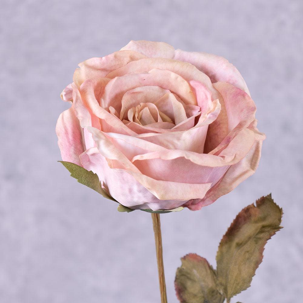 Artificial Roses | Rose Calista, Artificial, Pink Blush, 66cm Artificial Artificial Roses