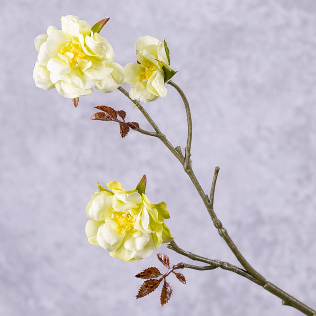 Artificial Roses | Wild Rose Twig, Artificial, Light Green, 38cm Artificial Artificial Roses