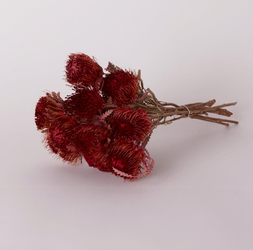 Florals | Banksia Dryandra, Dried, Dipped Erica, Bunch x 10 Stems Dried Florals