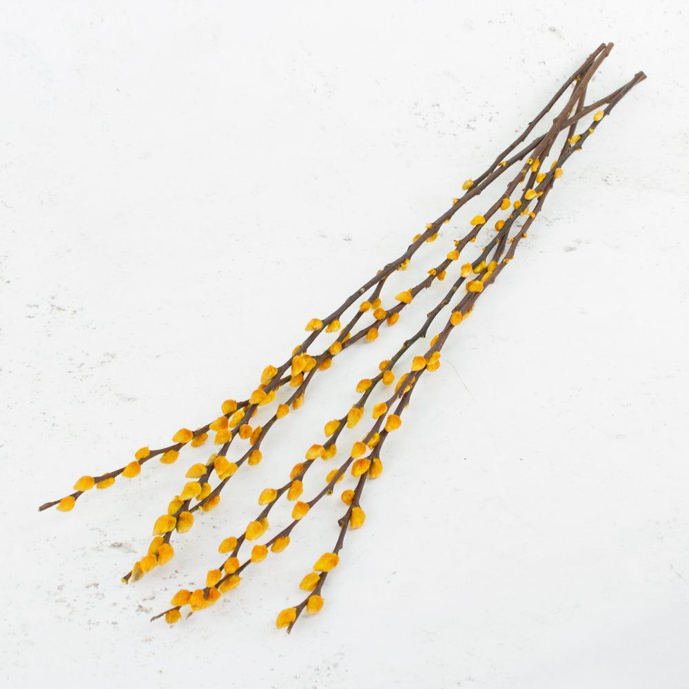 Florals | Salix, Pussy Willow, Dried, Yellow, 80cm Dried Florals